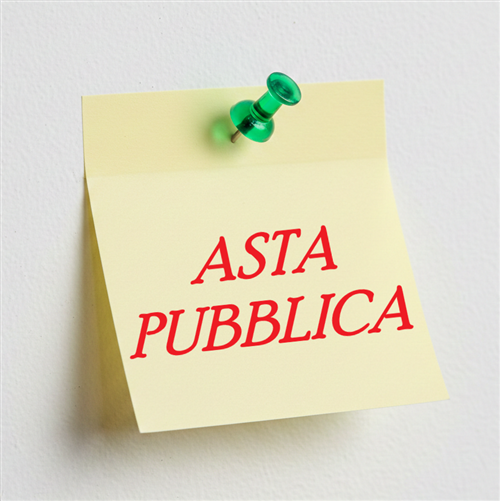 Asta pubblica