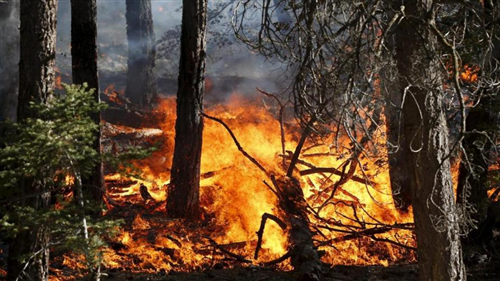 La Regione Piemonte dichiara lo stato di massima pericolosità incendi boschivi dal 16/01/2022